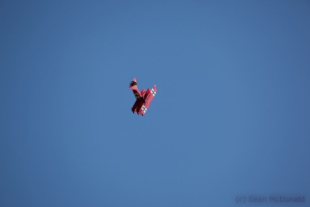 IMG 3631